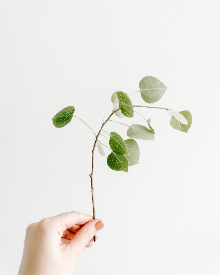 New to my Blog? Start&nbsp;Here…